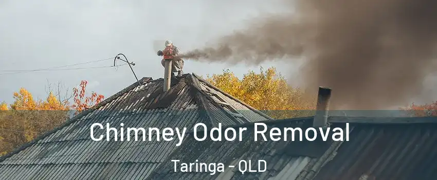 Chimney Odor Removal Taringa - QLD
