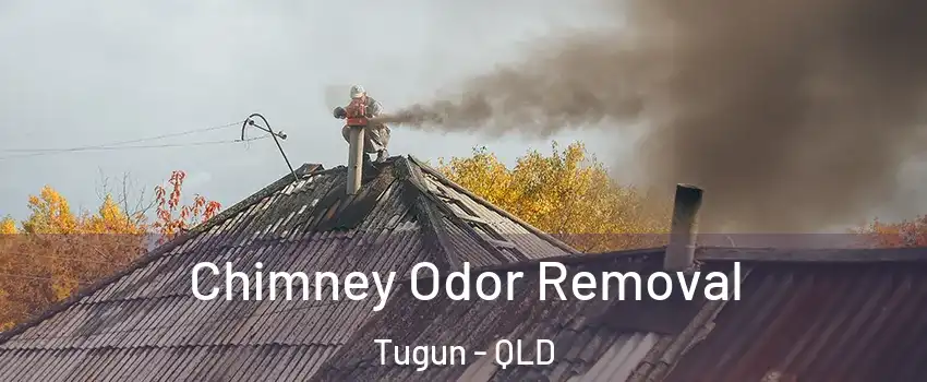 Chimney Odor Removal Tugun - QLD