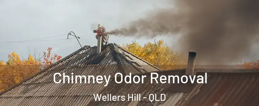 Chimney Odor Removal Wellers Hill - QLD