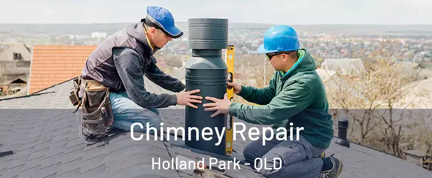 Chimney Repair Holland Park - QLD