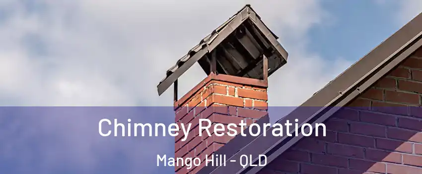 Chimney Restoration Mango Hill - QLD