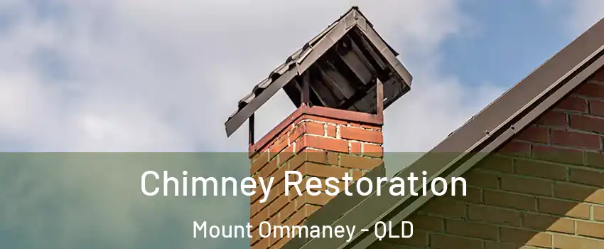 Chimney Restoration Mount Ommaney - QLD
