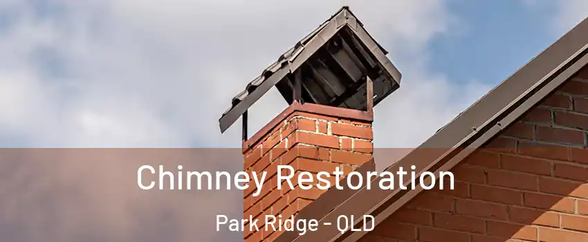 Chimney Restoration Park Ridge - QLD