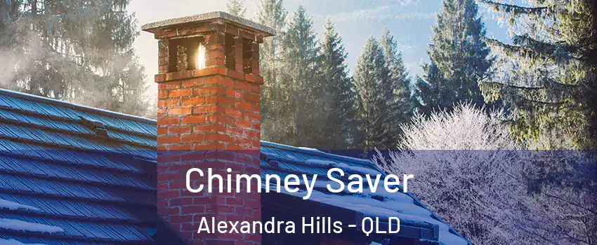 Chimney Saver Alexandra Hills - QLD
