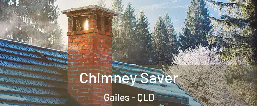 Chimney Saver Gailes - QLD