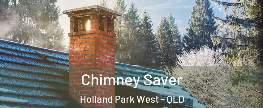 Chimney Saver Holland Park West - QLD