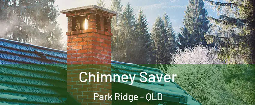 Chimney Saver Park Ridge - QLD