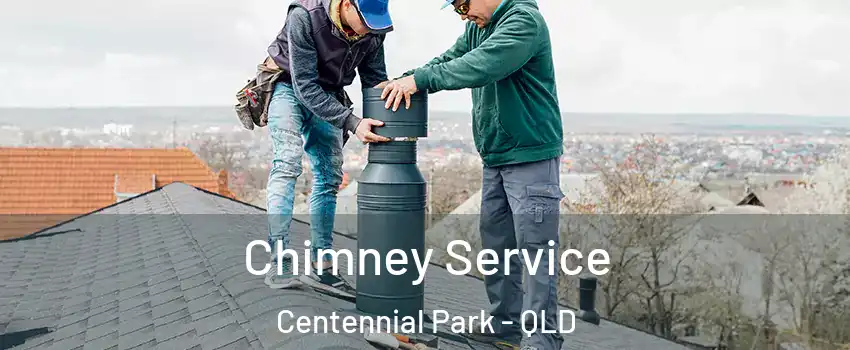 Chimney Service Centennial Park - QLD