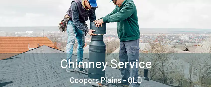 Chimney Service Coopers Plains - QLD