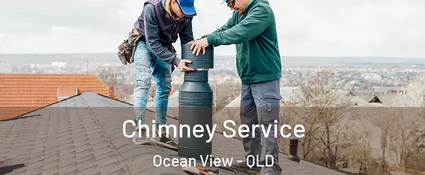 Chimney Service Ocean View - QLD