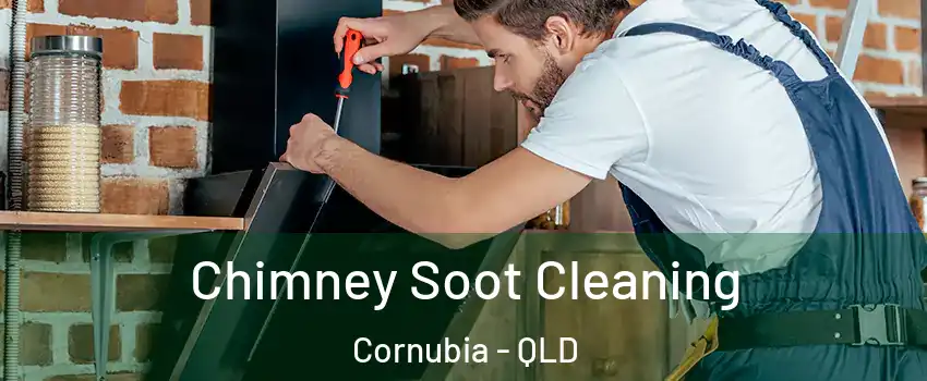 Chimney Soot Cleaning Cornubia - QLD