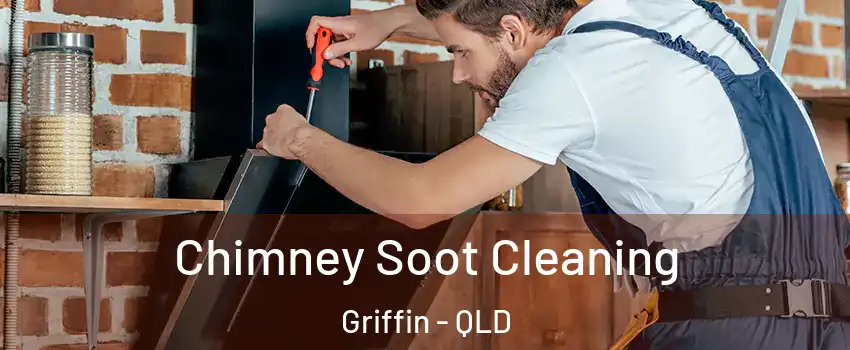 Chimney Soot Cleaning Griffin - QLD