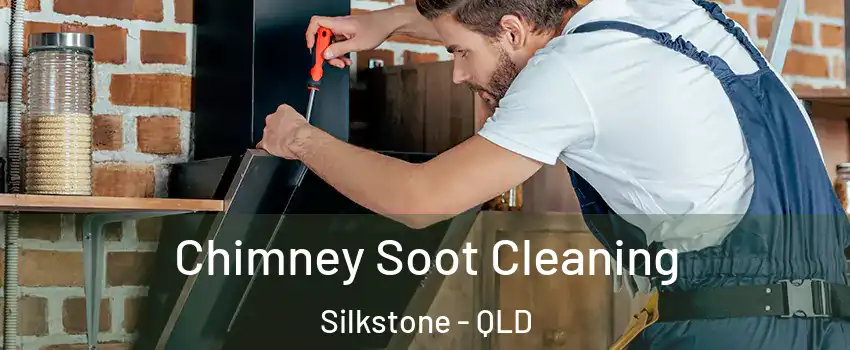 Chimney Soot Cleaning Silkstone - QLD