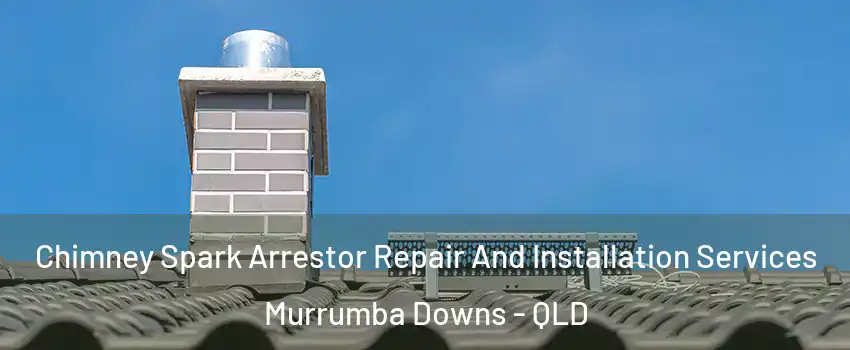  Chimney Spark Arrestor Repair And Installation Services Murrumba Downs - QLD