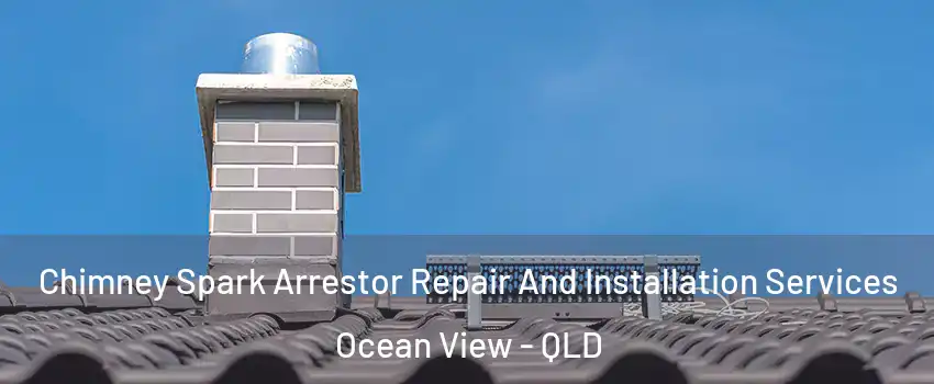 Chimney Spark Arrestor Repair And Installation Services Ocean View - QLD