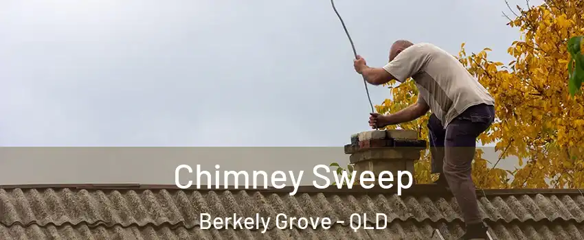 Chimney Sweep Berkely Grove - QLD