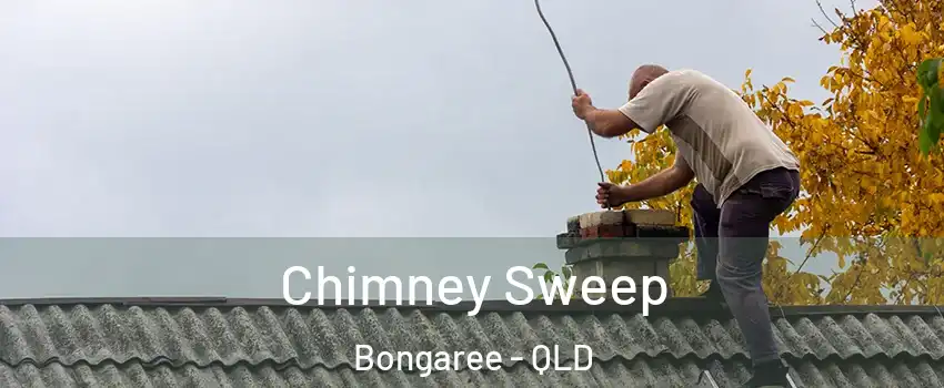Chimney Sweep Bongaree - QLD