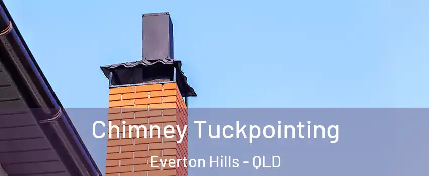 Chimney Tuckpointing Everton Hills - QLD