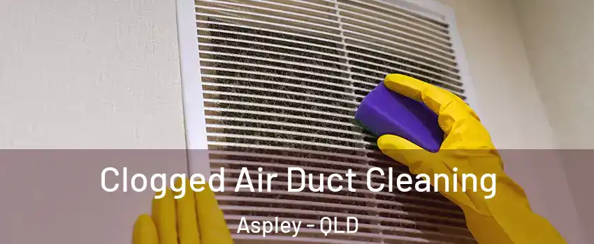Clogged Air Duct Cleaning Aspley - QLD