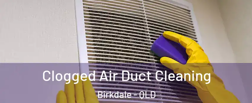 Clogged Air Duct Cleaning Birkdale - QLD