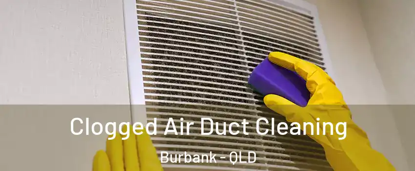 Clogged Air Duct Cleaning Burbank - QLD