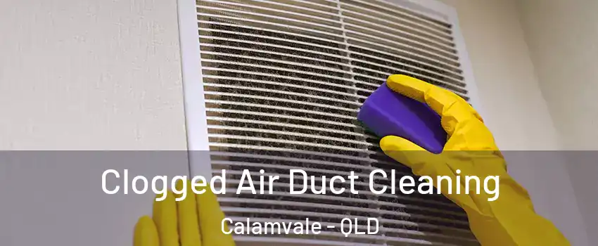 Clogged Air Duct Cleaning Calamvale - QLD