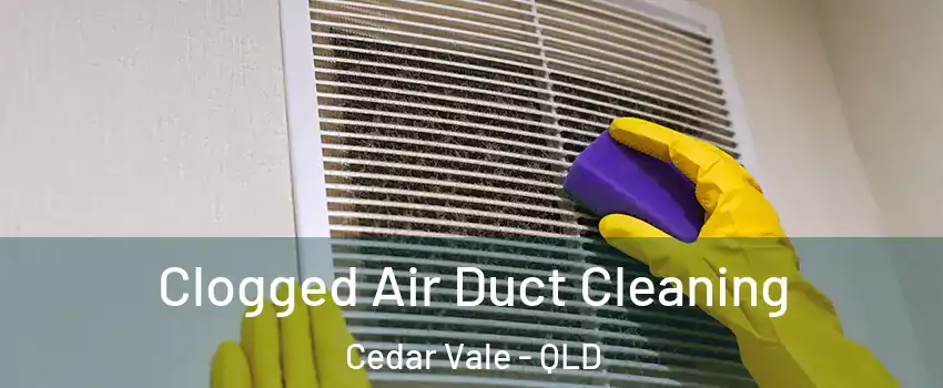 Clogged Air Duct Cleaning Cedar Vale - QLD