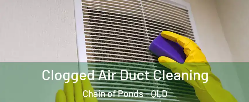 Clogged Air Duct Cleaning Chain of Ponds - QLD