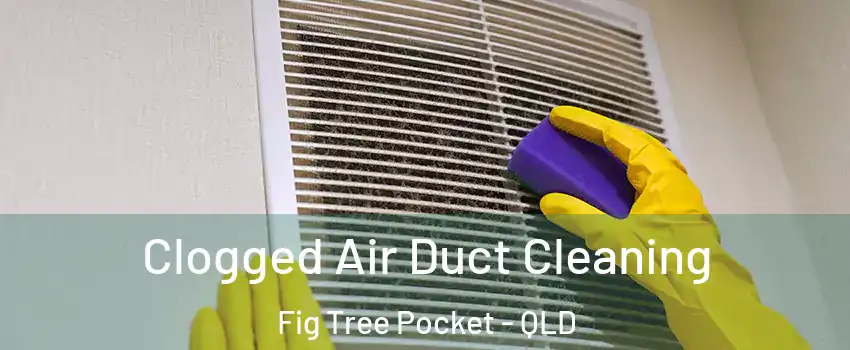 Clogged Air Duct Cleaning Fig Tree Pocket - QLD