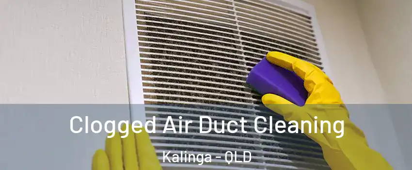 Clogged Air Duct Cleaning Kalinga - QLD