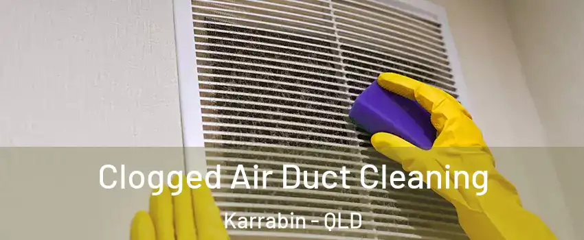 Clogged Air Duct Cleaning Karrabin - QLD