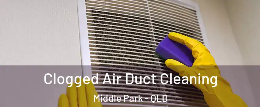 Clogged Air Duct Cleaning Middle Park - QLD