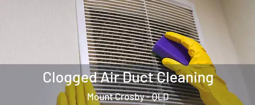 Clogged Air Duct Cleaning Mount Crosby - QLD