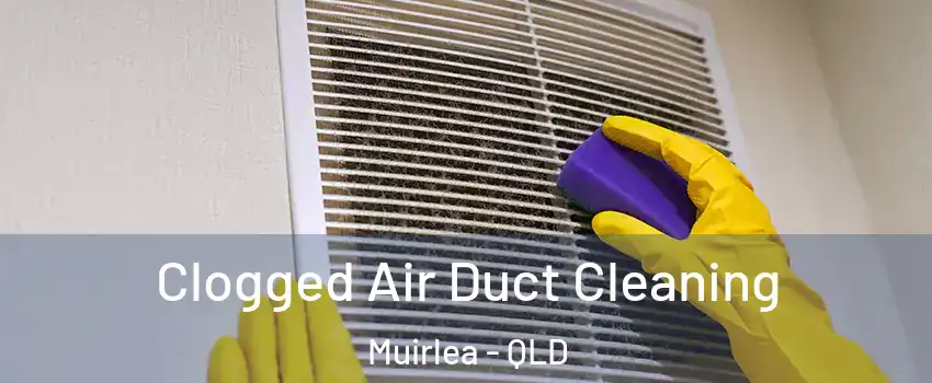 Clogged Air Duct Cleaning Muirlea - QLD