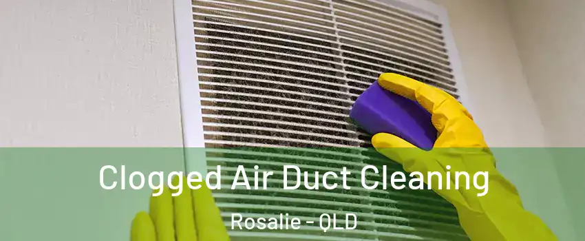  Clogged Air Duct Cleaning Rosalie - QLD