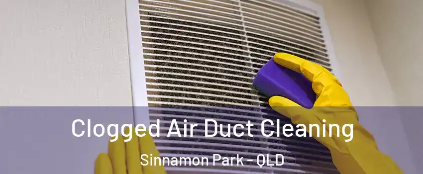 Clogged Air Duct Cleaning Sinnamon Park - QLD