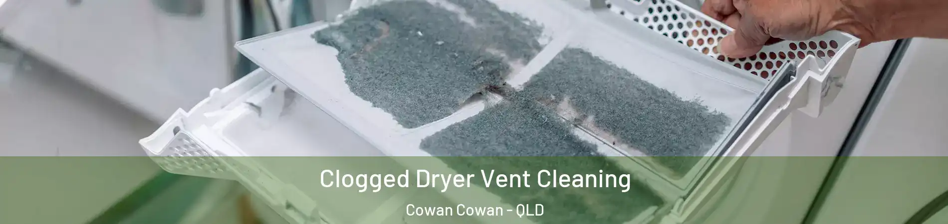 Clogged Dryer Vent Cleaning Cowan Cowan - QLD