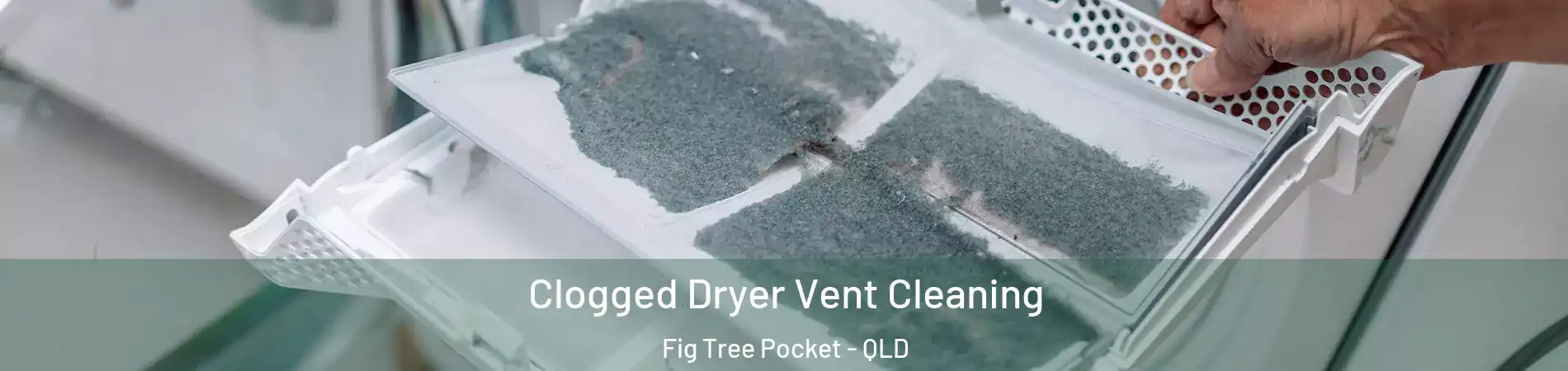 Clogged Dryer Vent Cleaning Fig Tree Pocket - QLD