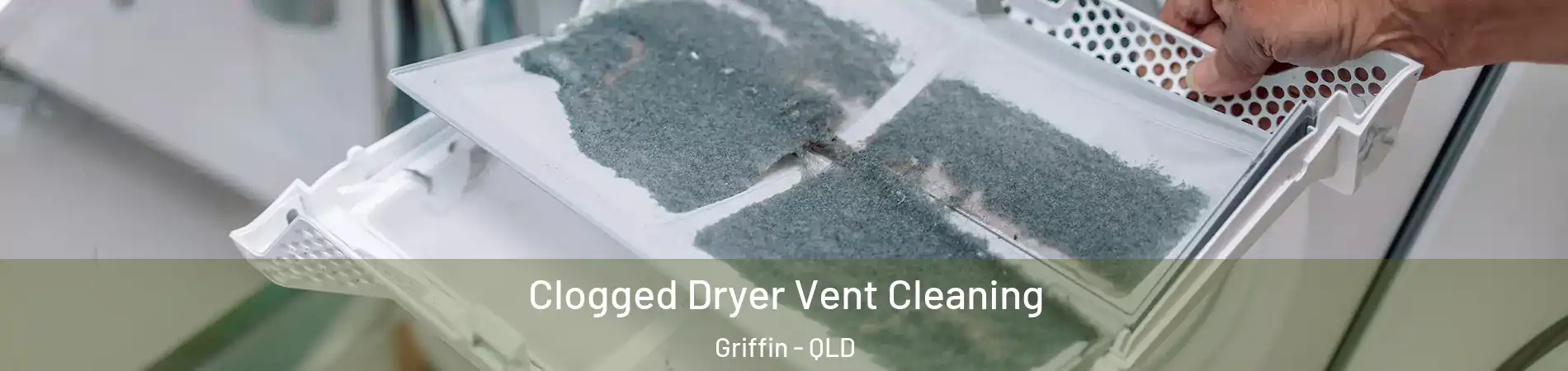 Clogged Dryer Vent Cleaning Griffin - QLD