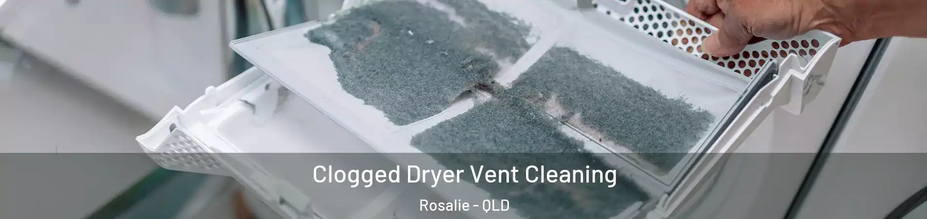 Clogged Dryer Vent Cleaning Rosalie - QLD