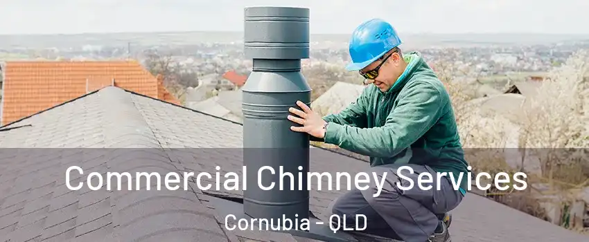 Commercial Chimney Services Cornubia - QLD