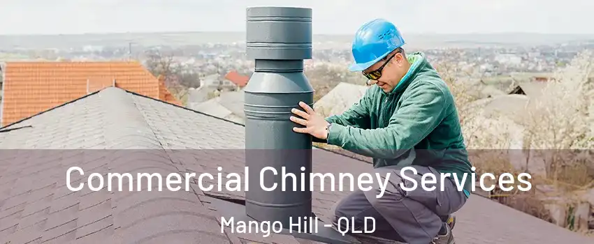 Commercial Chimney Services Mango Hill - QLD