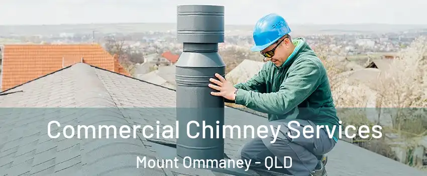  Commercial Chimney Services Mount Ommaney - QLD