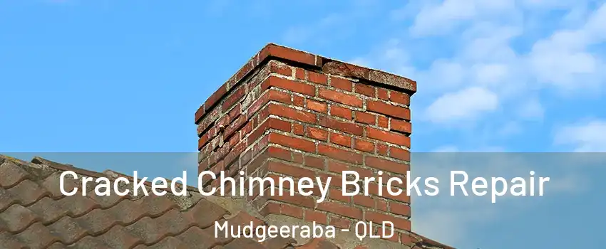 Cracked Chimney Bricks Repair Mudgeeraba - QLD