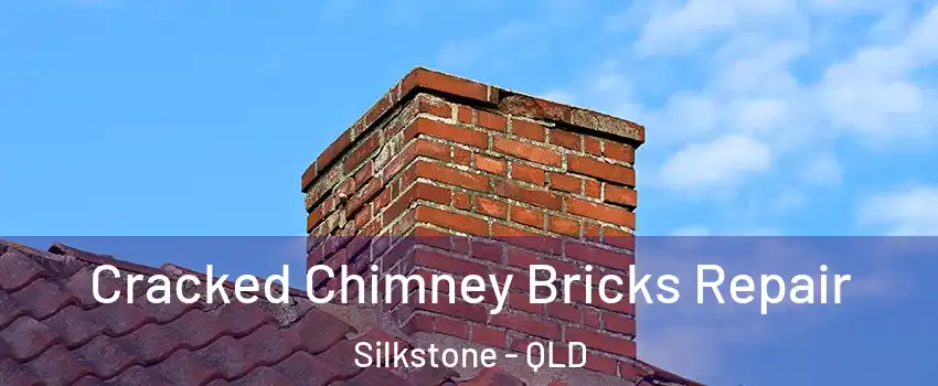 Cracked Chimney Bricks Repair Silkstone - QLD