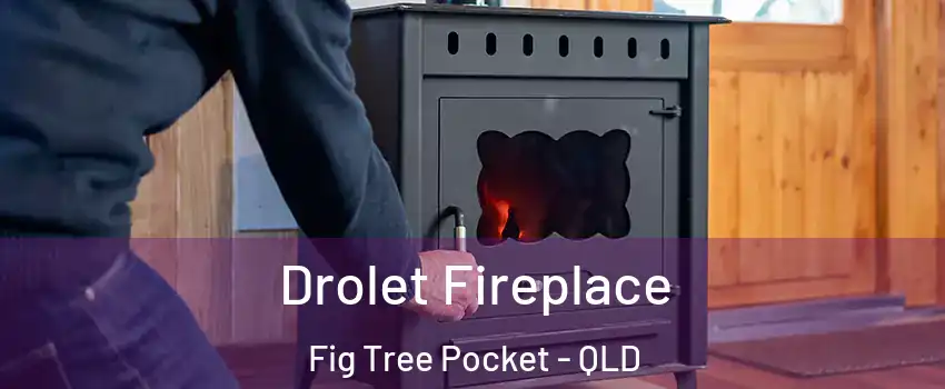 Drolet Fireplace Fig Tree Pocket - QLD