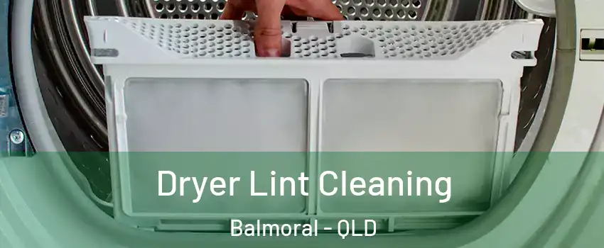 Dryer Lint Cleaning Balmoral - QLD