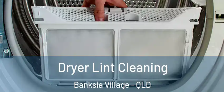Dryer Lint Cleaning Banksia Village - QLD
