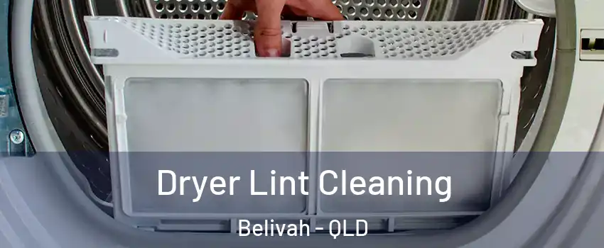 Dryer Lint Cleaning Belivah - QLD