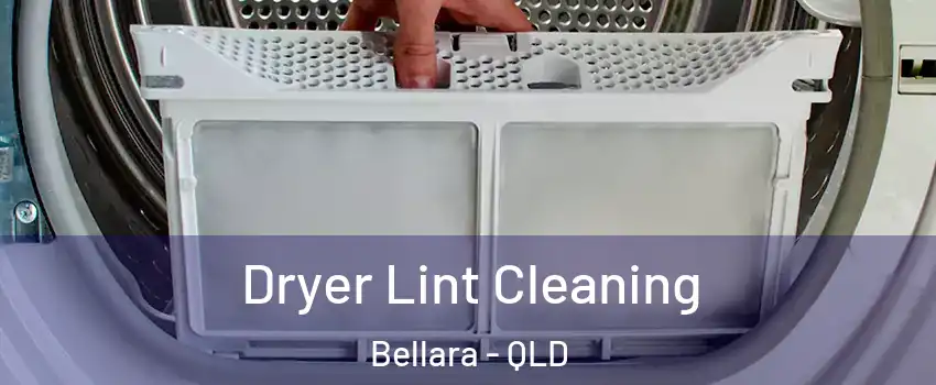 Dryer Lint Cleaning Bellara - QLD